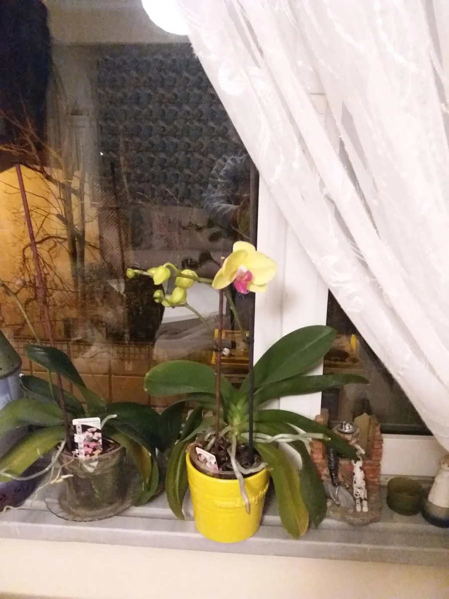 Mavi sofra - Görsel 6