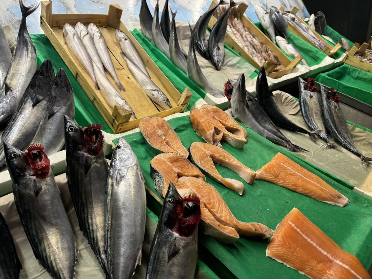 Okyanus Balık Evi - Görsel 3