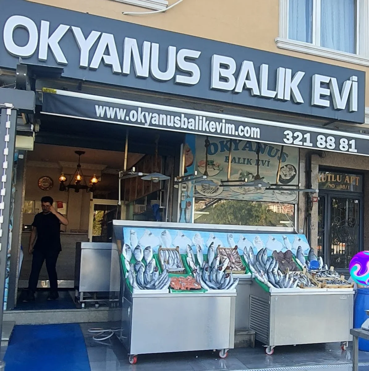 Okyanus Balık Evi - Görsel 1