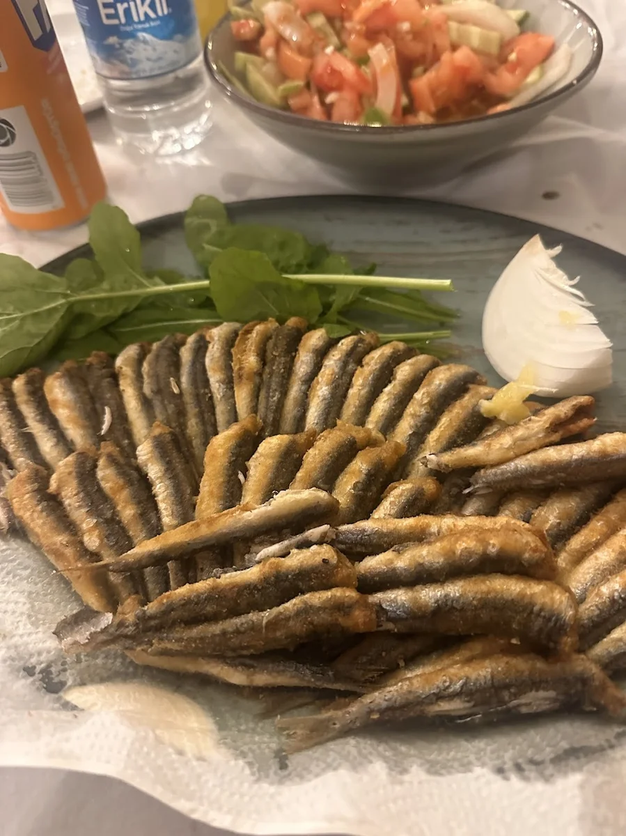 Okyanus Balık Evi - Görsel 5