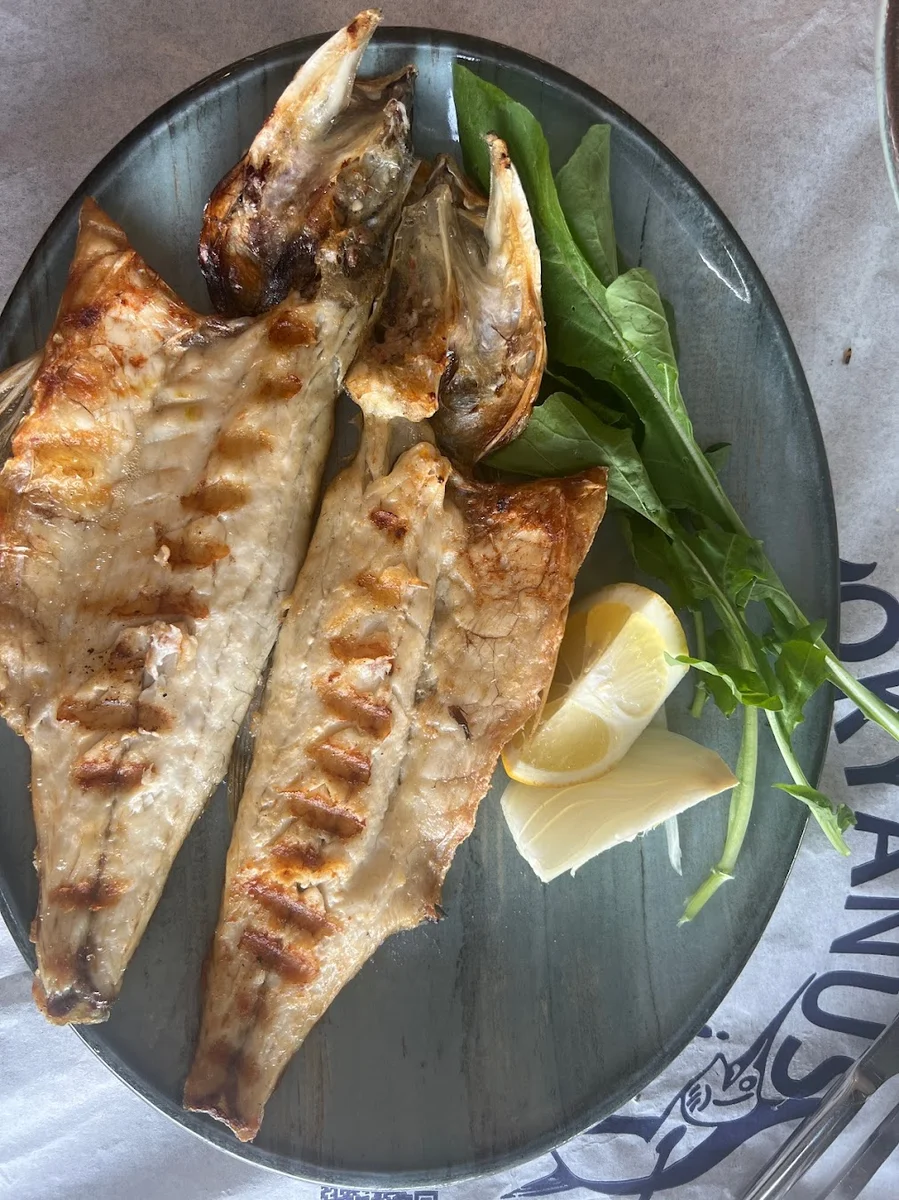 Okyanus Balık Evi - Görsel 7