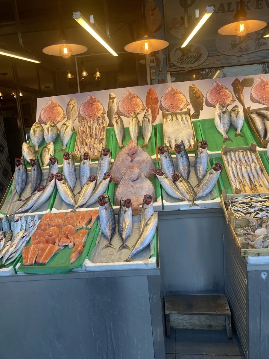 Okyanus Balık Evi - Görsel 9