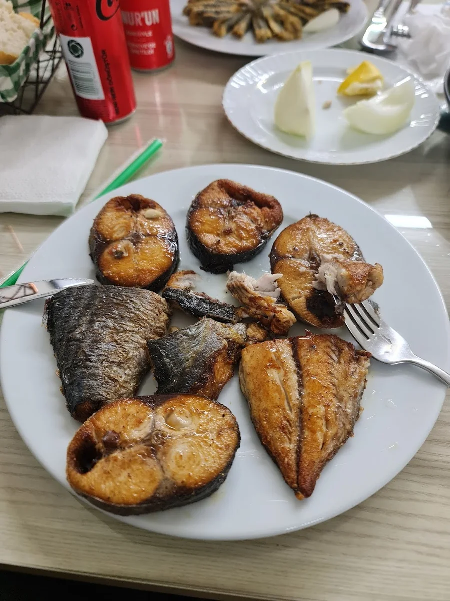 Balıkçı Fiko - Görsel 2