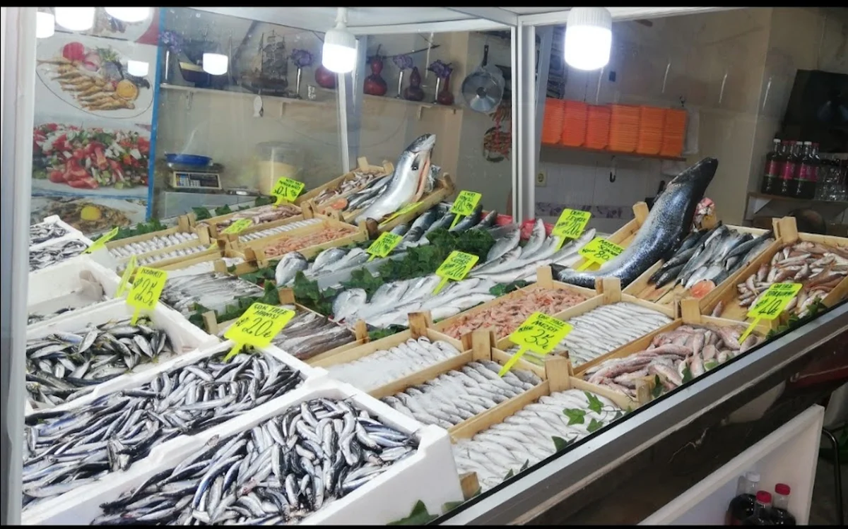 HAMİDİYE BALIK EVİ - Görsel 1