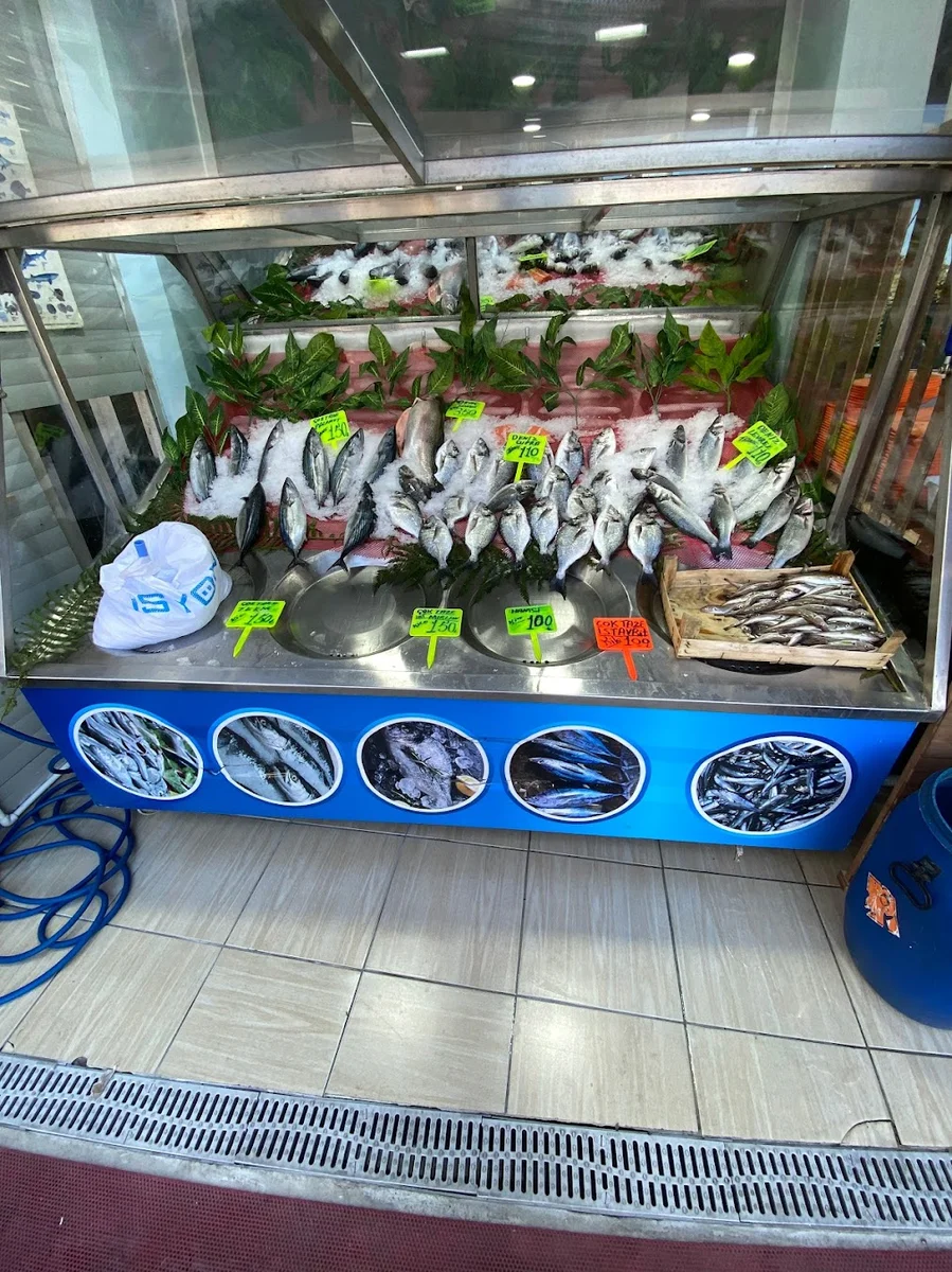 HAMİDİYE BALIK EVİ - Görsel 4