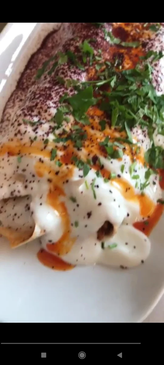 BT Biber Tantuni Seyrantepe - Görsel 2