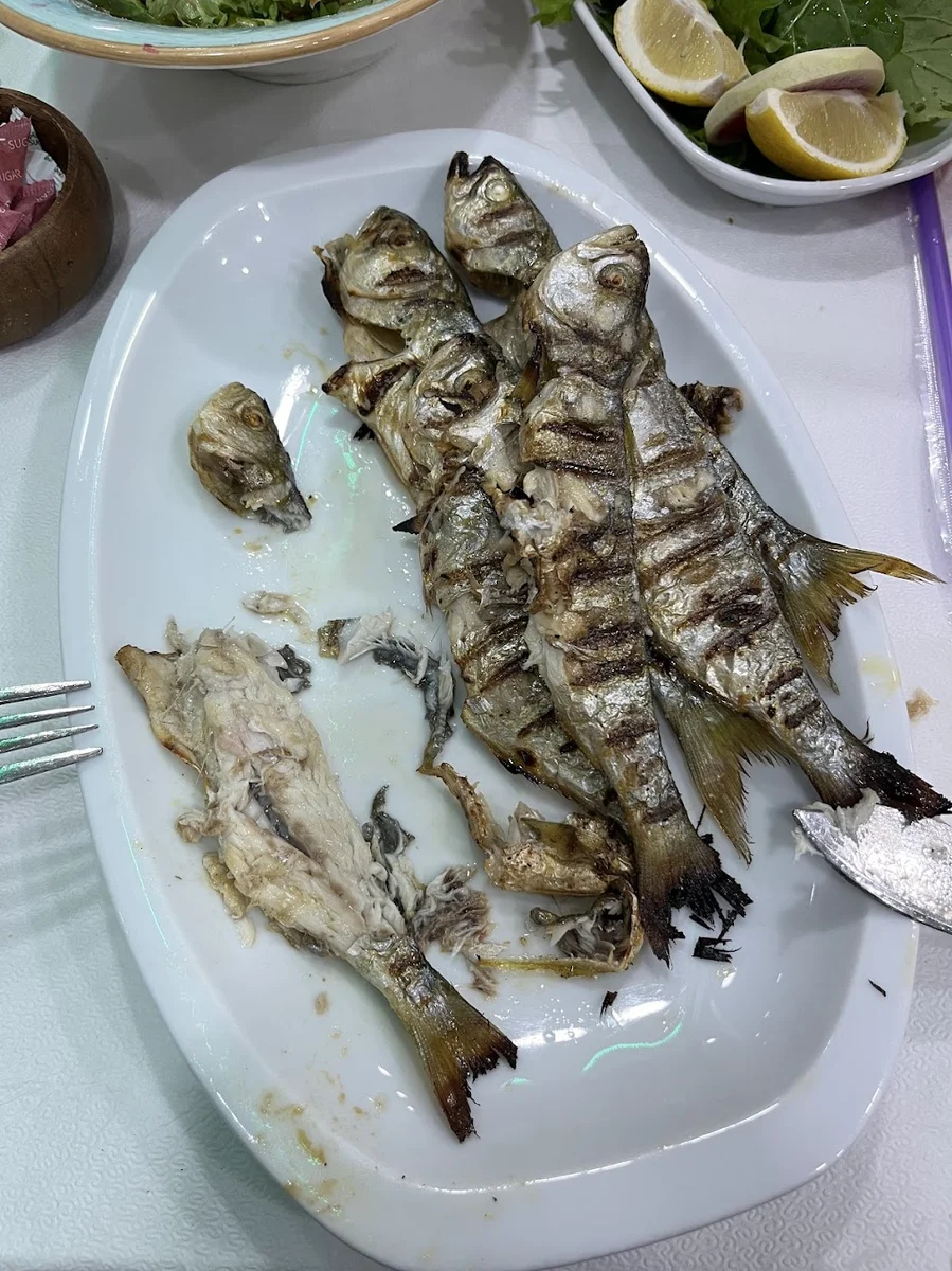 Orkinos Balık Lokantası - Görsel 6