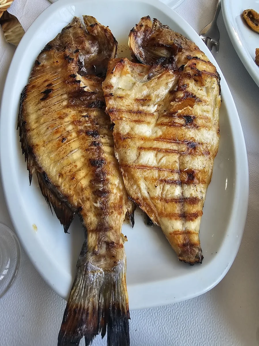 Orkinos Balık Lokantası - Görsel 7