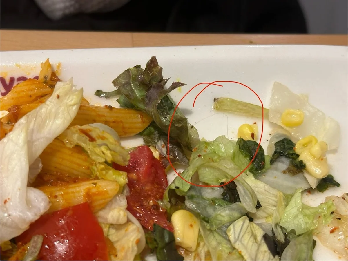 Tavuk Dünyası Armoni Park - Görsel 7