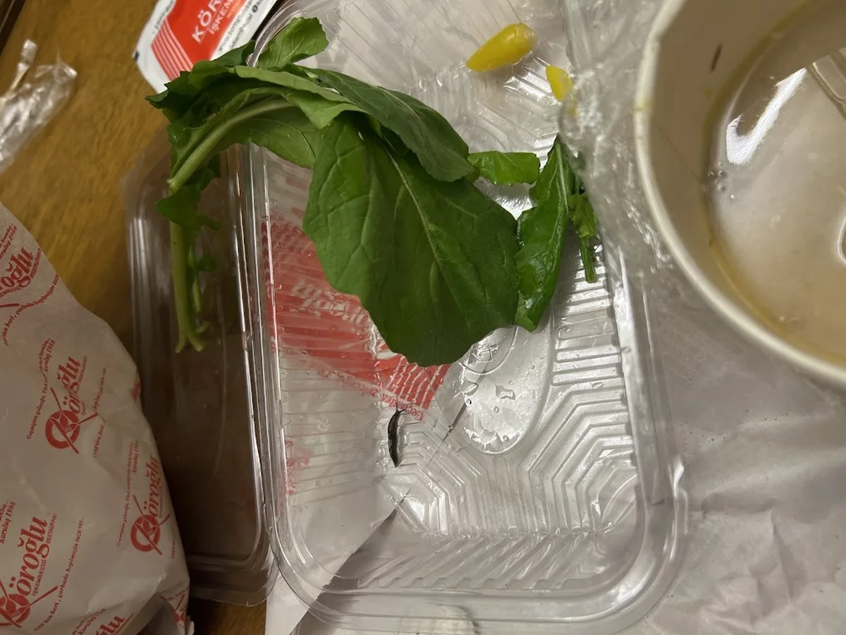 Köroğlu İşkembecisi gop - Görsel 7