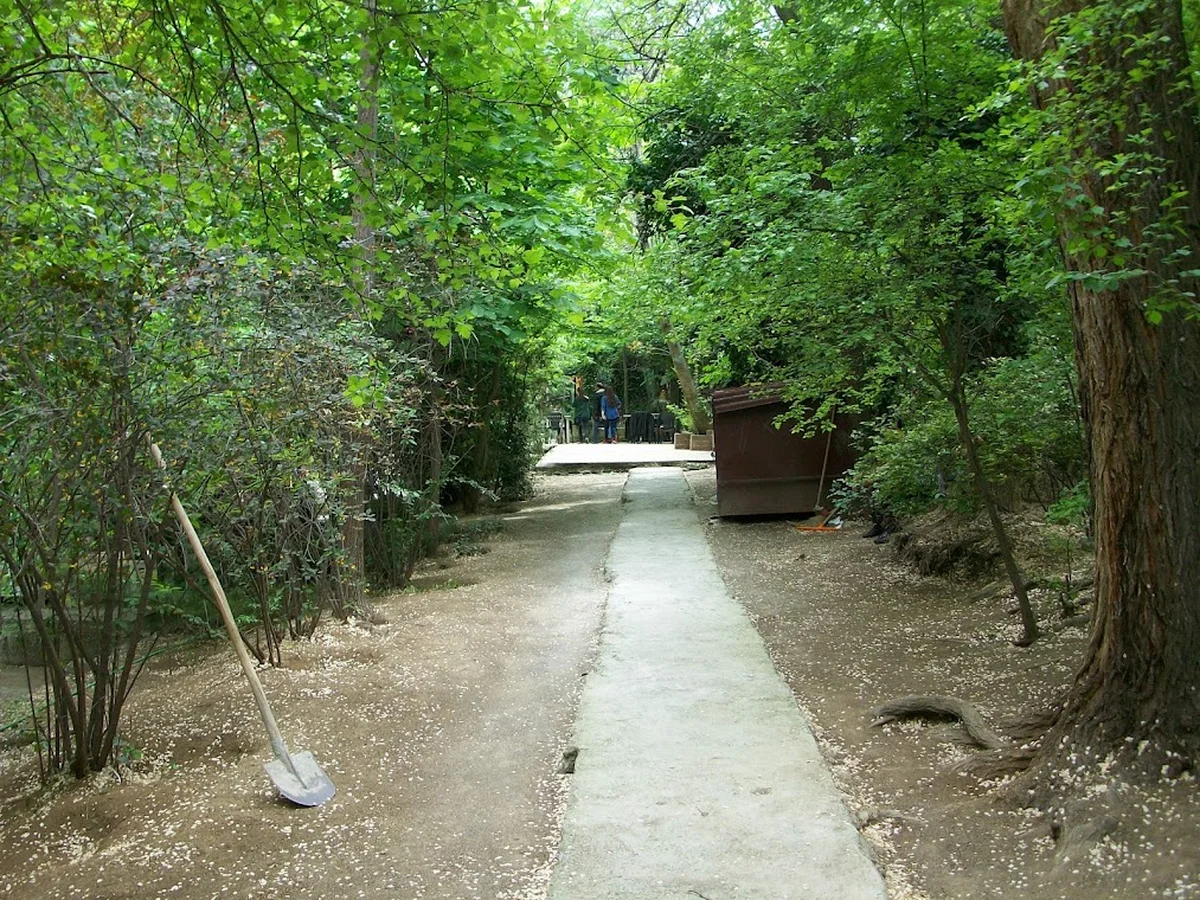 Papazın Bağı - Görsel 7