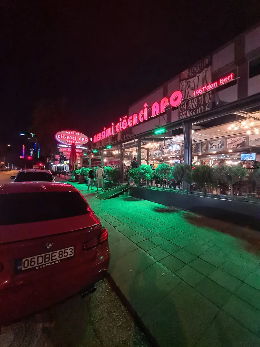 Mersinli Ciğerci Apo - Görsel 9
