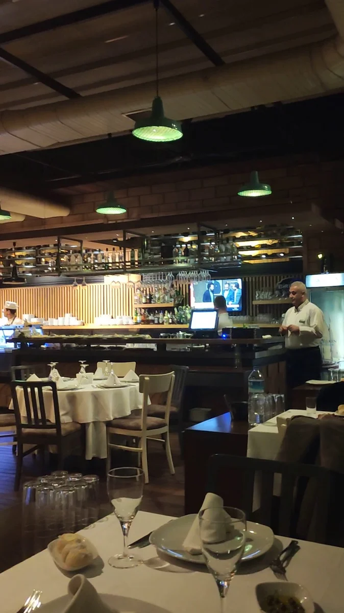 Yelken Balık - Görsel 1