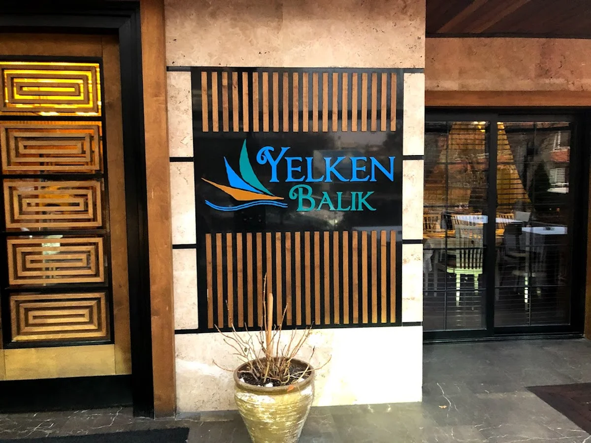 Yelken Balık - Görsel 3