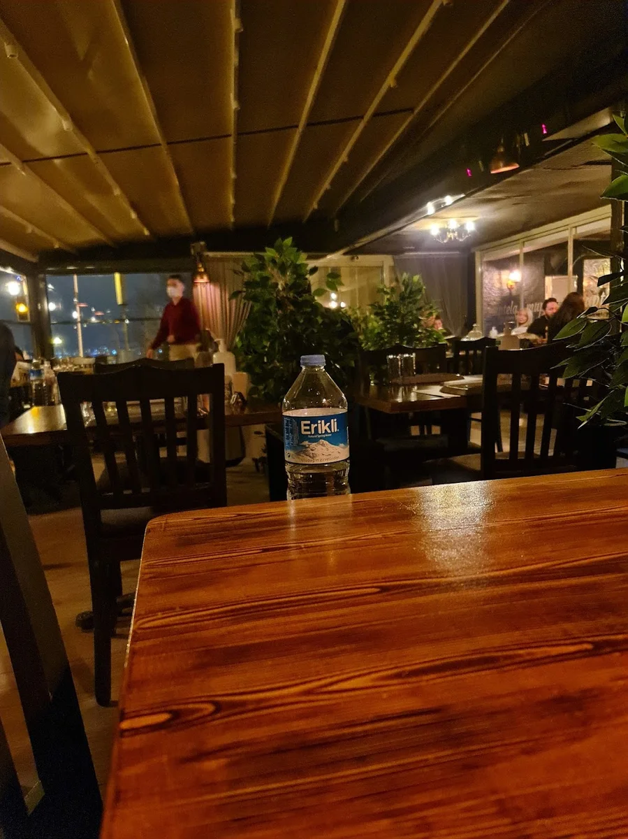 Yelken Balık - Görsel 7